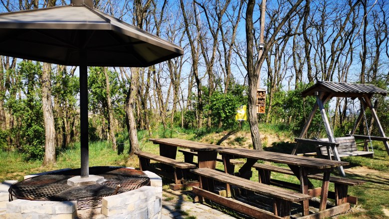 Enjoyment on the Hutberg, © Weinstraße Weinviertel Barbecue area with wooden tables and swings in the forest.
