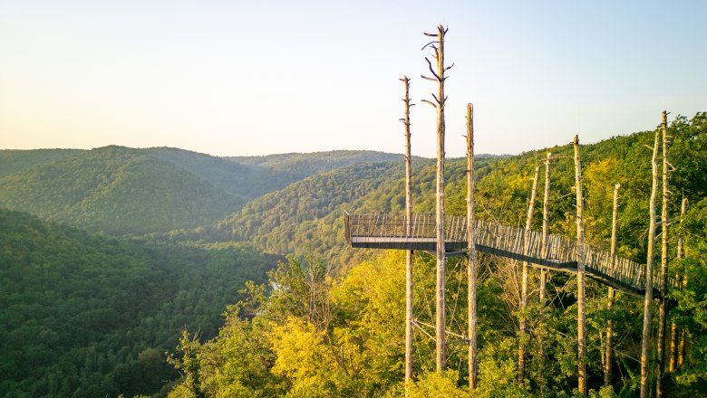 Observatory, © Andreas Haeusler Viewing platform in the forest with a view of wooded hills in the background.