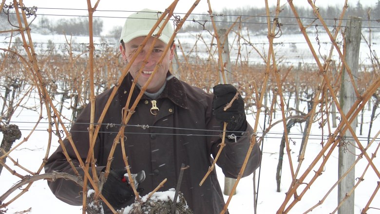 Pruning, © Mold Person pruning vines in a snow-covered vineyard.