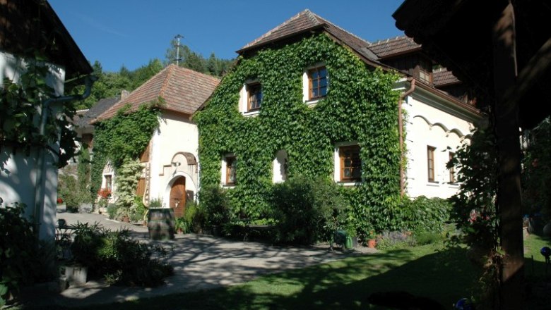weinguthagen, © Weingut Hagen An ivy-covered building in a sunny courtyard with plants and trees.