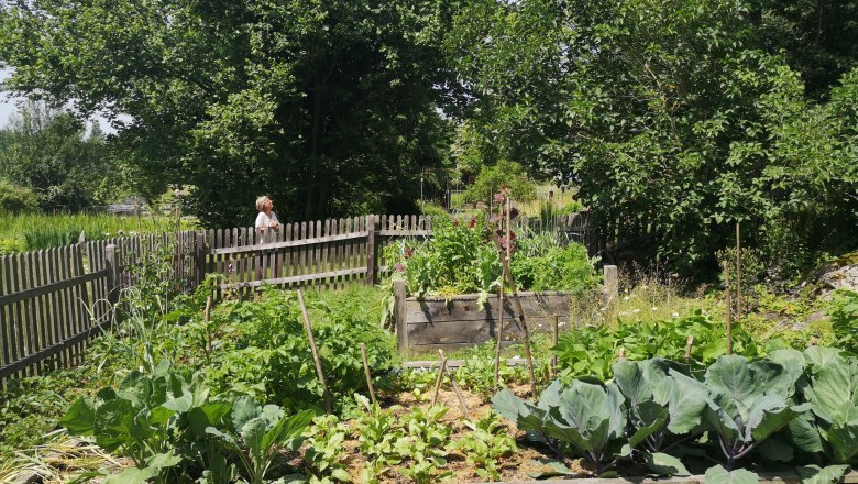 Watzl Albrechts show garden (15), © "Natur im Garten" A vegetable garden with raised beds and a wooden fence surrounded by trees.