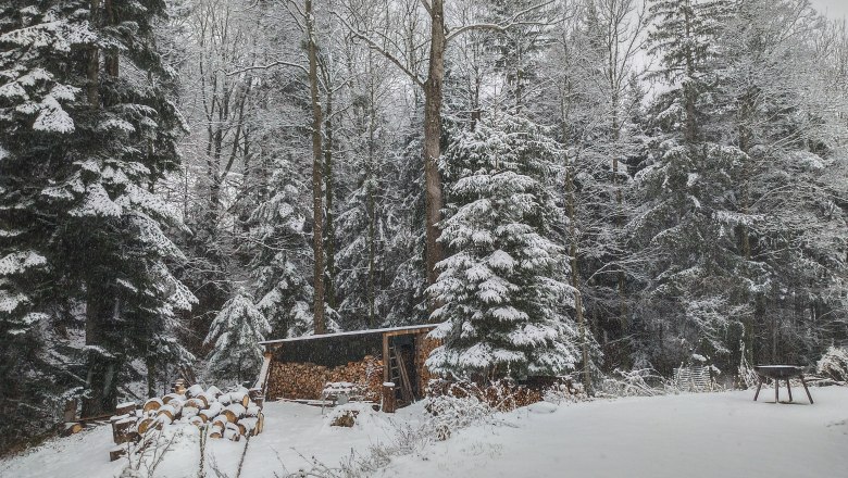 Orlet on the Rax, © Sofia Orlet Snow-covered forest with woodpile and table in the foreground.