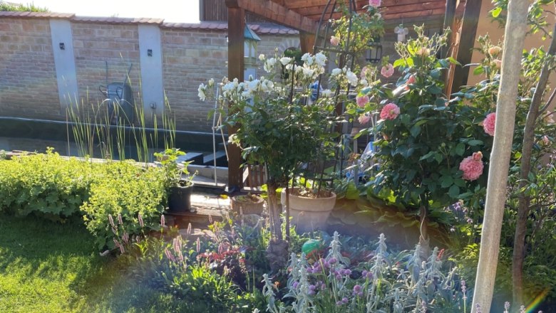 Fragrant roses for the senses, © Michaela Wannemacher A blooming garden with roses, lavender and other plants in the sunshine.