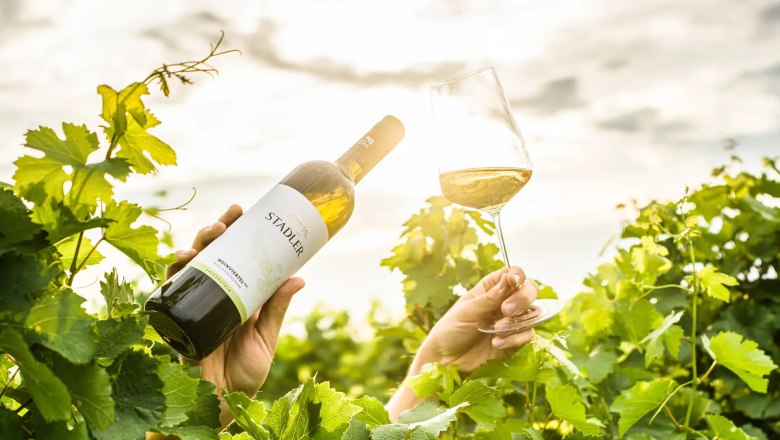 Enjoy the wine, © Robert Herbst One hand holds a wine bottle, another a wine glass in a vineyard in the sunlight.