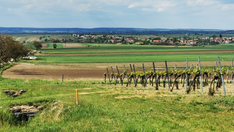 Brunnenhäuserl Pernersdorf, © Weinstraße Weinviertel View over green meadows with vineyards. A village can be seen on the horizon.