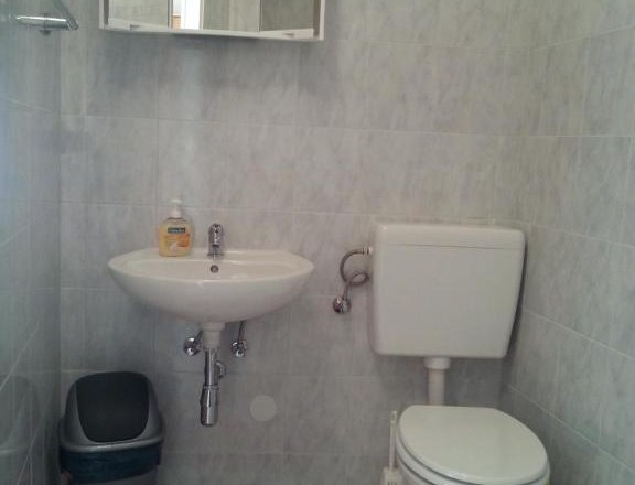 Bathroom, © Haus Nova Small bathroom with washbasin, mirror, toilet and waste garbage can.