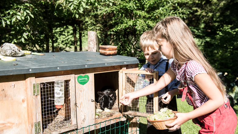 Inn "Zum Hammer", © Wolfgang Wutzl Inn "Zum Hammer", © Wolfgang Wutzl