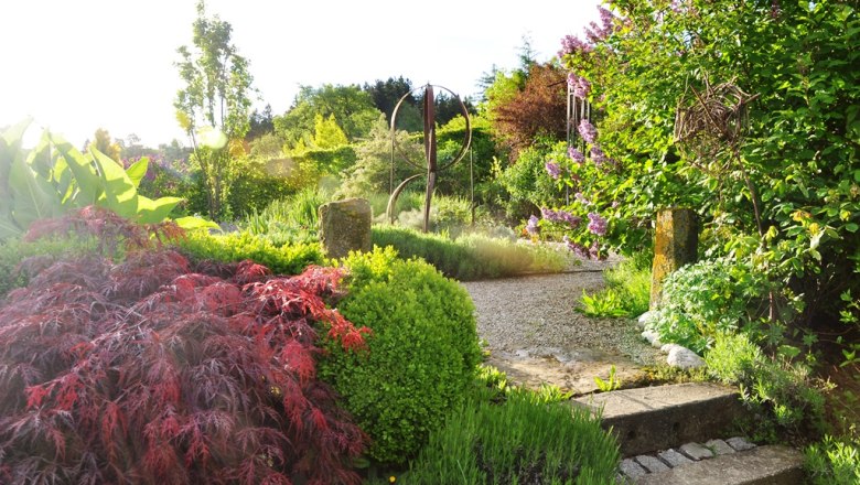 Bognerhof nursery, © Bognerhof A sunny garden with colorful plants and a gravel path.