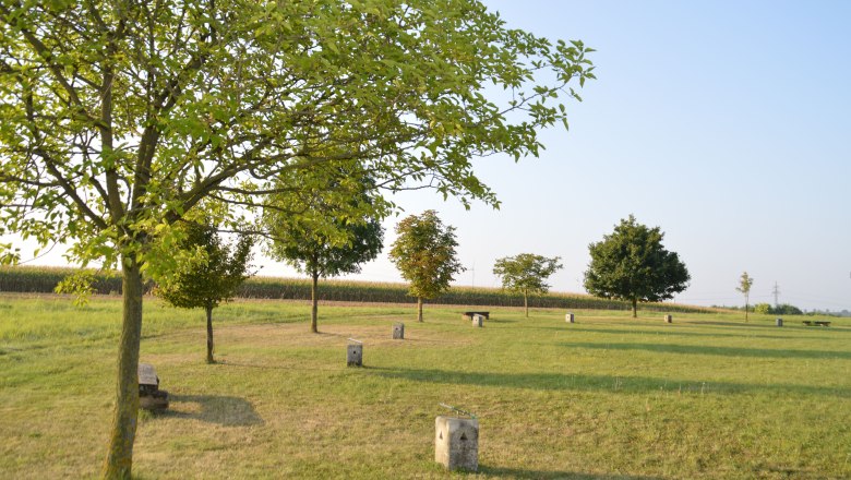 Veltlinerland tree circle, © StadtGemeinde Mistelbach / Mag. Mark Schönmann A circle of trees on a meadow with benches and concrete blocks in the Veltlinerland.