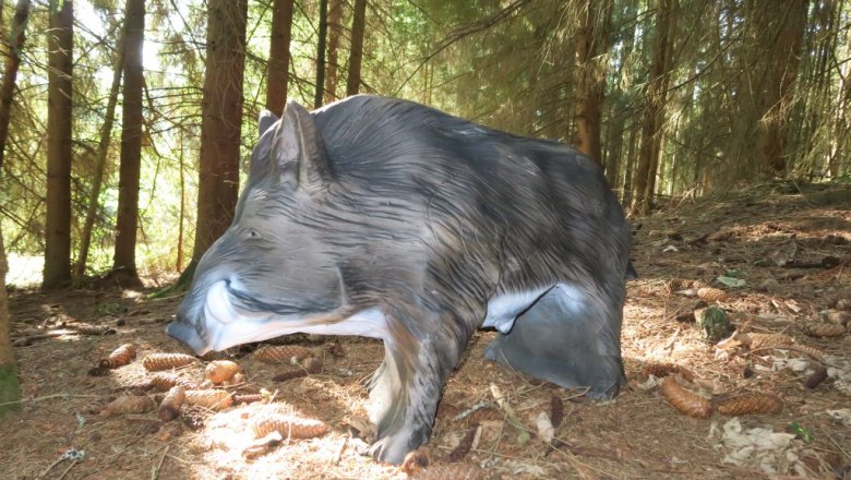 Target course, © ARRA-Bogensport Harmanschlag Target course, © ARRA-Bogensport Harmanschlag