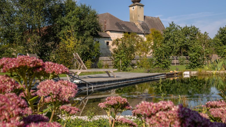 Oberstockstall Estate, © Niederösterreich Werbung / Maximilian Pawlikowsky A historic building with an onion dome behind a pond and flowering plants in the foreground.