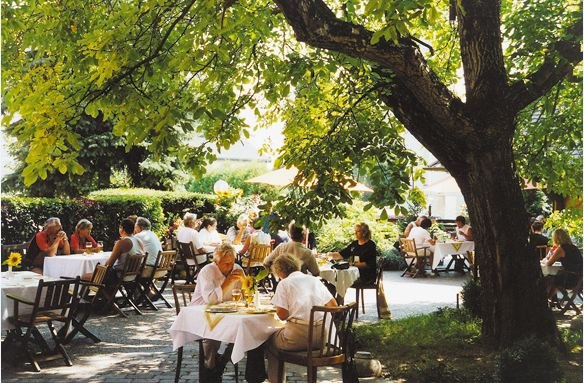 Danube-Rad-Hotel Gasthof Böhm, © Donau-Rad-Hotel Gasthof Böhm People sit outside under trees at tables and enjoy a meal.