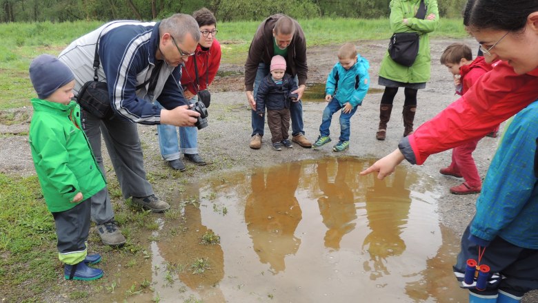 bird.show.places, © Nüsken Group of adults and children watching a puddle outdoors.