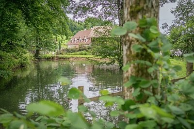The duck pond, © Einkehrhof Poggau The duck pond, © Einkehrhof Poggau
