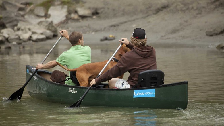 Canoeist, © Kanu Wachau Two people and a dog in a green canoe on a river.