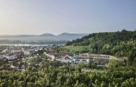 Steigenberger Hotel & Spa Krems, © Steigenberger Hotel & Spa, Gregor Titze View of the Steigenberger Hotel & Spa Krems surrounded by vineyards and hills.