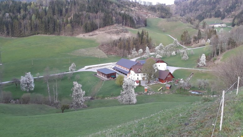 in the middle of green meadows, © Andrea Kronsteiner in the middle of green meadows, © Andrea Kronsteiner