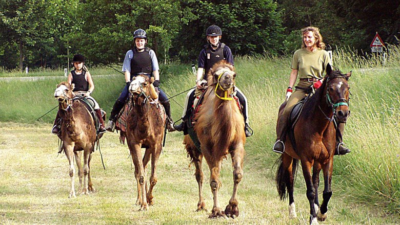 1st Austrian Camel Riding School, © 1. Österreichische Kamelreitschule Group of riders on camels and horses in a meadow.