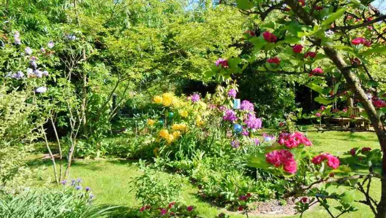 Summer in the garden, © Natur im Garten A blooming garden with colorful flowers and green trees in summer.