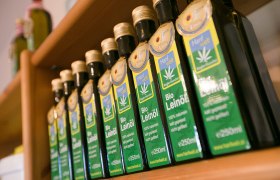 Organic hemp Nurscher, © Doris Schwarz König Row of organic linseed oil bottles on a wooden shelf.