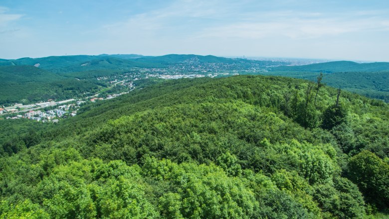 View from the Rudolfswarte, © Daniel Ritt Panoramic view from the Rudolfswarte of wooded hills and a town in the background.