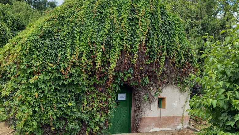 Wine cellar lane Niederleis, © Weinviertel Tourismus A small house completely overgrown with ivy, with a green door and a small window.