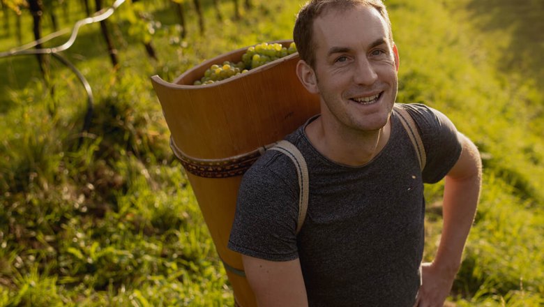 Viticulture Matthias Pöchlinger, © Weinbau Matthias Pöchlinger Viticulture Matthias Pöchlinger, © Weinbau Matthias Pöchlinger