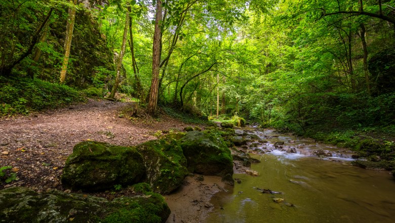 Johannesbach Gorge, © Wiener Alpen/Christian Kremsl A forest path along a shallow stream in the Johannesbachklamm gorge, surrounded by lush greenery and rocks.