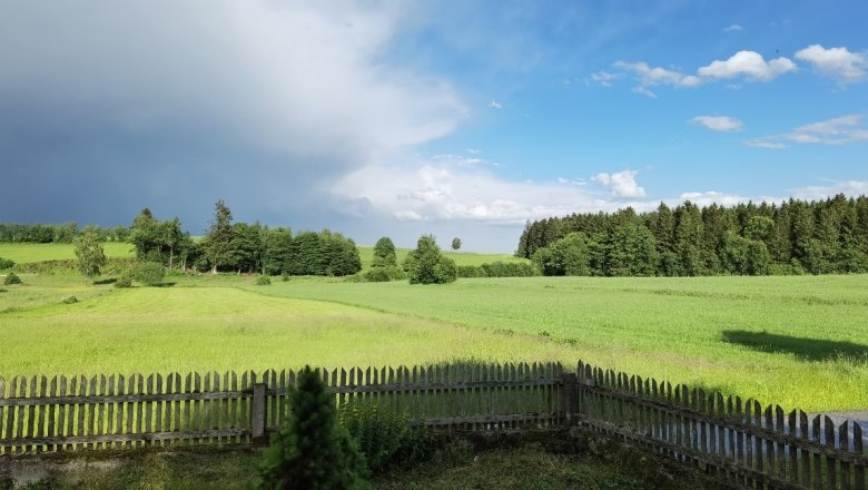 Garden view, © Thomas Starkl Garden view, © Thomas Starkl