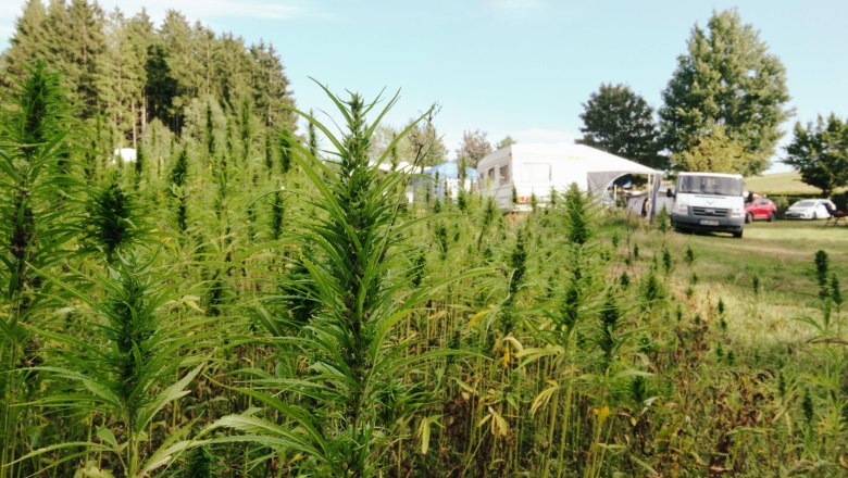 Haarstubencampinplatz Reingers, © Haarstubencampingplatz Reingers Haarstubencampinplatz Reingers, © Haarstubencampingplatz Reingers