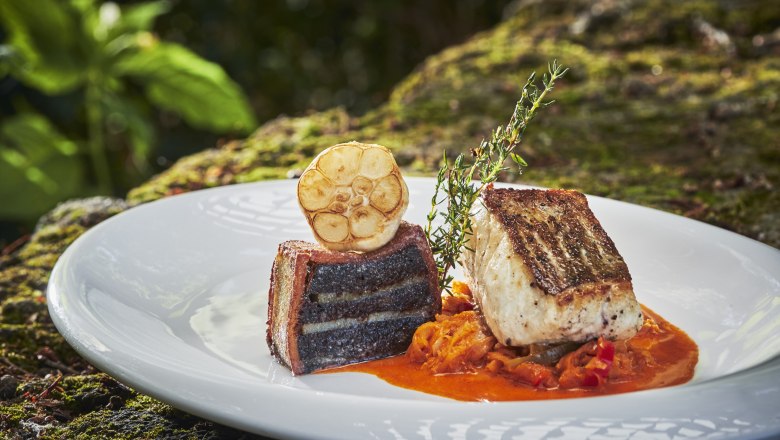 Pike-perch fillet on spicy cabbage and bluet terrine, © Niederösterreich Werbung/Andreas Hofer Pike-perch fillet on spicy cabbage with blue terrine and garlic on a white plate.
