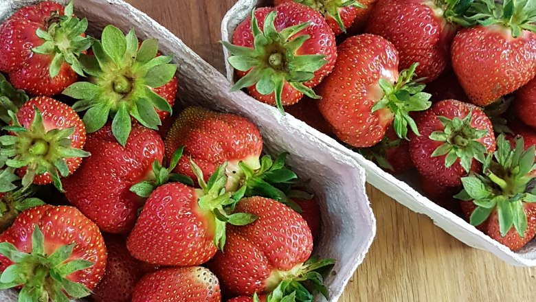 Strawberries, Roman remains of Carnuntum, © Donau Niederösterreich Fresh strawberries in two cardboard bowls on a wooden table.