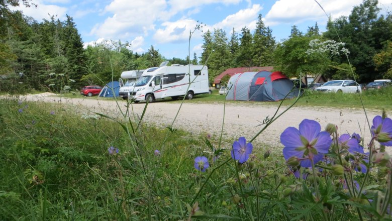 parking space-hw_web, © Naturpark Hohe Wand Campsite with mobile homes, tents and blooming flowers in the foreground.