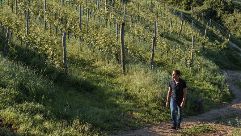 Allram Winery, © Hasselblad X1D Allram Winery, © Hasselblad X1D