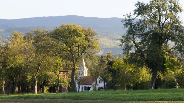 Chapel, © Familie Wilhelm Aichau chapel surrounded by trees