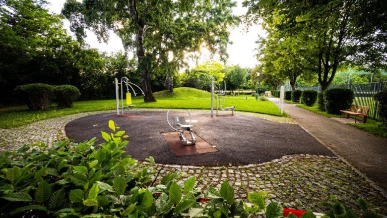 Generation park & volleyball, © Gemeinde Wimpassing A park with fitness equipment and trees in the background.