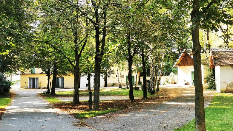 Rest - chill out - and enjoy the peace and quiet, © Weinstraße Weinviertel A quiet park with trees and small buildings in the background.