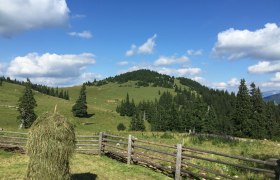 Umgebung St. Aegyd am Neuwalde, © Riedler Umgebung St. Aegyd am Neuwalde, © Riedler