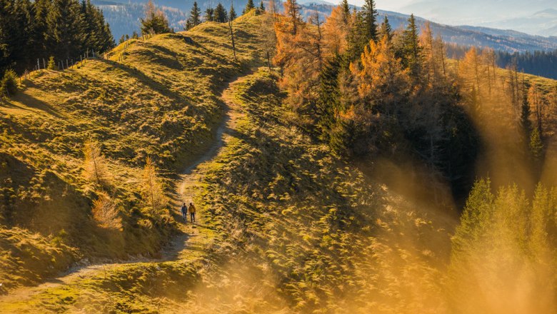 Hiking in the fall, © Wiener Alpen/Martin Fülöp Two hikers on an autumnal mountain path with colorful trees.