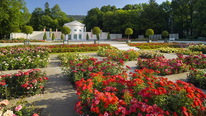 Baden Rosarium/Orangery, © Rainer Mirau Rose garden with colorful flowers and a white building in the background.