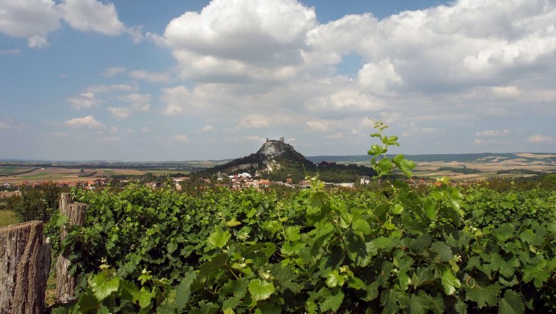 Staatzer mountain, © Seymannfilm View of the Staatzer Berg with ruins, surrounded by vineyards and fields under a blue sky with clouds.