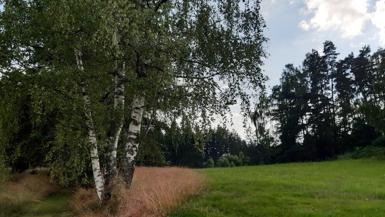 Surroundings, © Ferienhaus Leopold Surroundings, © Ferienhaus Leopold