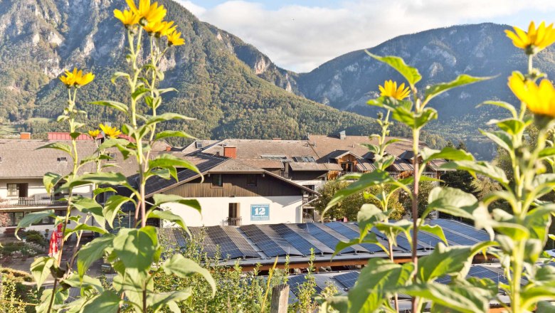 Flackl's solar system, © Daniel Fischer Sunflowers in front of solar panels and mountains in the background.