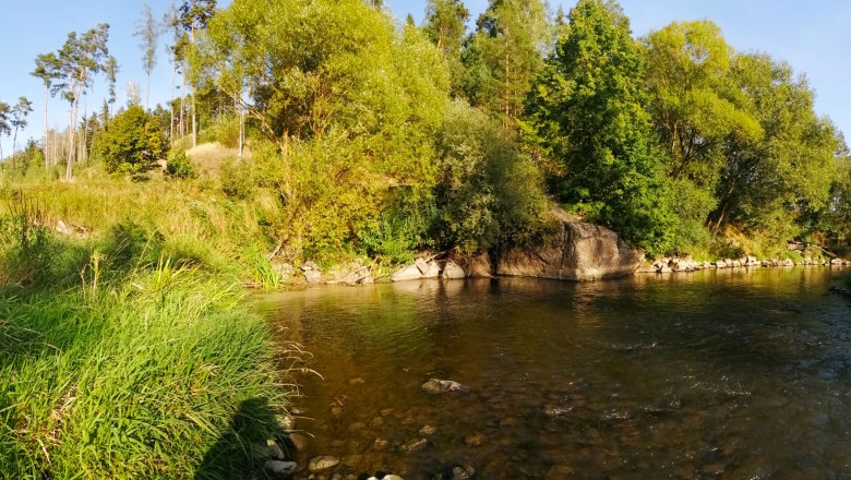 Hangenstein in the Thayatel near Karlstift, © Matthias Schickhofer River landscape with trees and rocks on the banks.