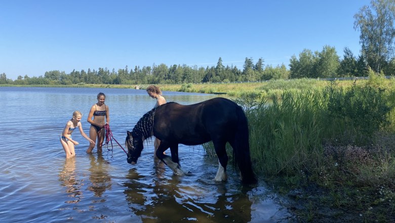 Pond, © Andreas Artner Pond, © Andreas Artner