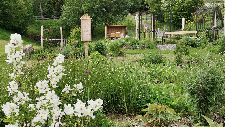 Wild bee meadow, © Wiener Alpen A blooming meadow with wildflowers, an insect hotel and a bench in the background.