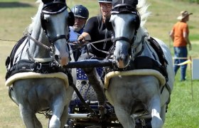 Cross-country test, © Sonja Bauer Cross-country test, © Sonja Bauer