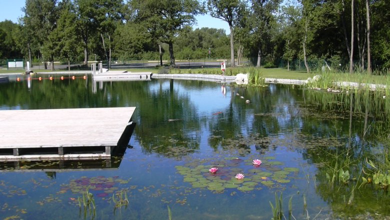 Aquapark, © Stadtgemeinde Herzogenburg Natural swimming pond with wooden jetty and water lilies, surrounded by trees.