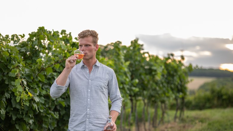Winemaker Hannes Schweighofer, © Karina Goldmann A man stands in a vineyard and drinks wine from a glass.