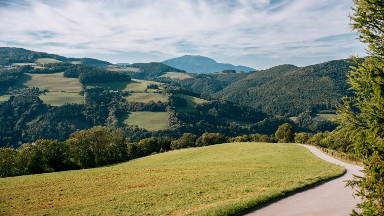 Panoramic road in Edlitz with Schneeberg in the background, © Wiener Alpen/Roman Königshofer Photography Panoramic view of a hilly landscape with green meadows and wooded hills under a blue sky.